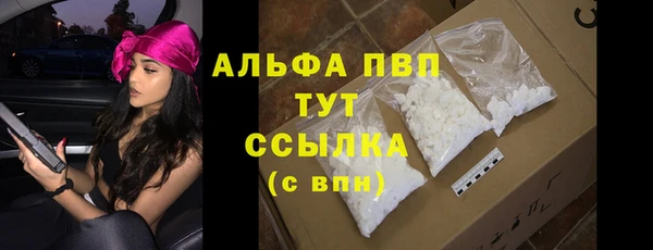 крисы Алагир