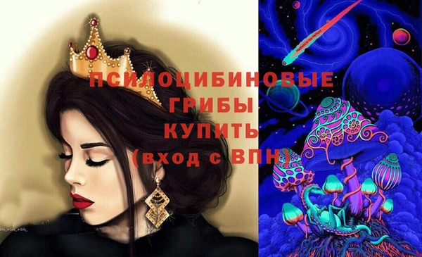 стафф Верхний Тагил