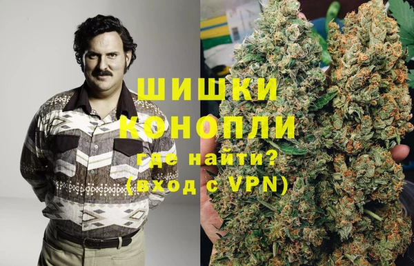 гидра Алапаевск
