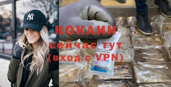 гидра Алапаевск
