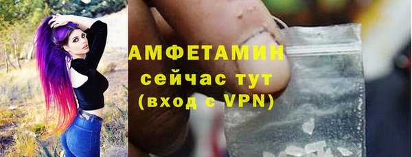 гидра Алапаевск