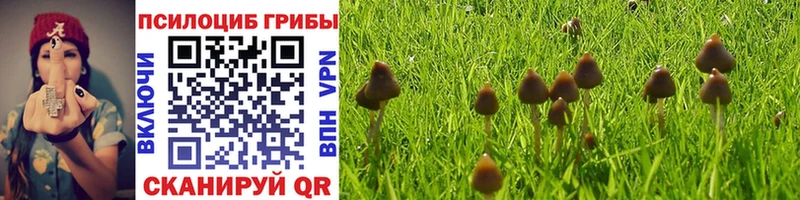 Галлюциногенные грибы Magic Shrooms Геленджик