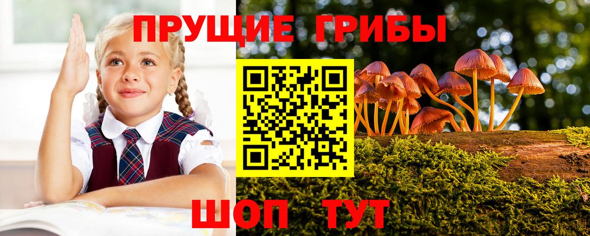 Галлюциногенные грибы GOLDEN TEACHER Геленджик
